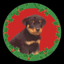Holiday Rottweiler sticker stickers