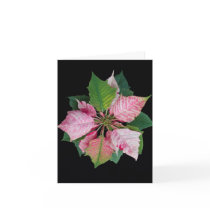 Holiday Season Poinsettia Card