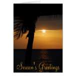 Holiday Season's Greetings Tropical Sunset Cards