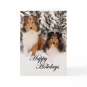 Holiday Shelties cards