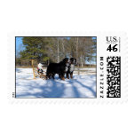 Holiday Sleigh Postage Stamp