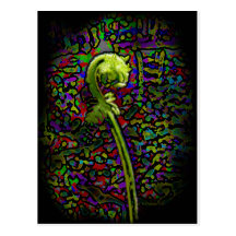 Holiday Spiritual Post Card