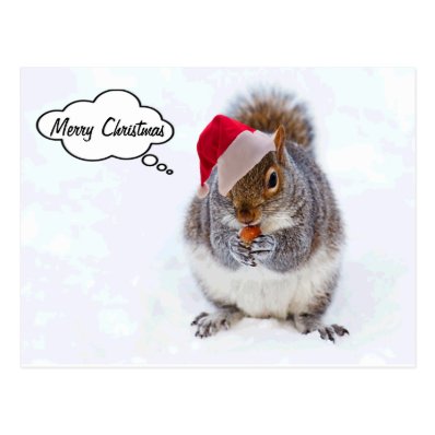 Holiday Squirrel Postcard
