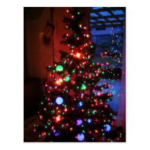 Holiday Tree with Reflection Postcard