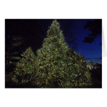 Holiday Trees cards