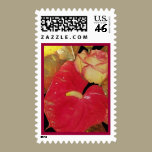 Holiday Wedding Postage stamps