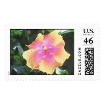 holihock postage
