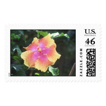 holihock postage