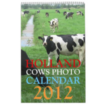 Holland Cows Photo Calendar 2012