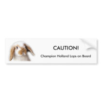 Holland Lop Bumper Sticker bumper stickers