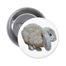Holland Lop Ear Rabbit Button