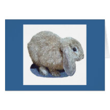 Holland Lop Ear Rabbit Greeting and Note Cards