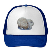 Holland Lop Ear Rabbit Hat