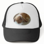 Holland Lop Eared Rabbit Hat Holland Lop Eared Rabbit Hat