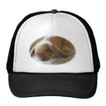 Holland Lop Eared Rabbit Hat