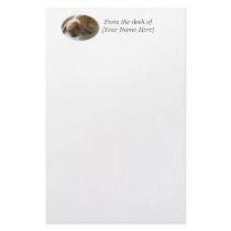 Holland Lop Eared Rabbit Stationary stationery by Granny_Pats_Gifts Holland Lop Eared Rabbit Stationary stationery