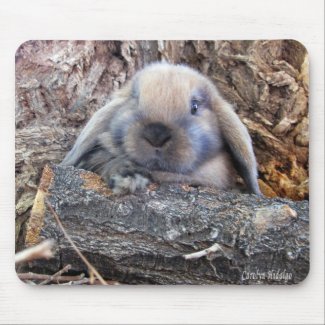 Holland Lop mousepad mousepad