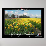 Holland Spring Tulips Landscape 3D Anaglyph Poster