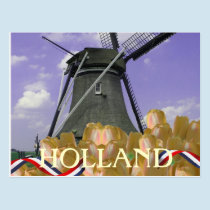Holland Windmill Orange Tulips Postcard postcards