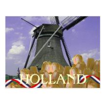 Holland Windmill Orange Tulips Postcard