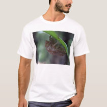 hollow bug t-shirts