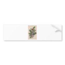 Holly 1913 bumper sticker