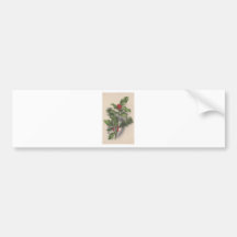 Holly 1913 bumper sticker