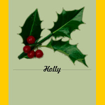 Holly and Berries t-shirts