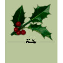 Holly and Berries t-shirts