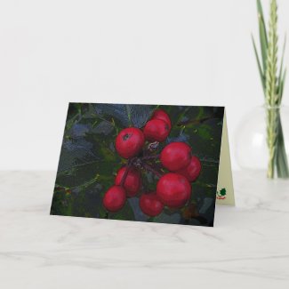 Holly Berries Christmas Cards