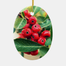 Holly Berries Christmas Ornament