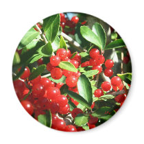 Holly Berries magnets