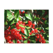 Holly Berries postcards