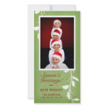 Holly branch - Holiday Photocards