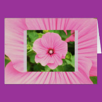 Holly cards by ggbythebay Holly cards