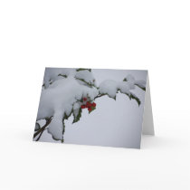 Holly Cards