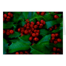 Holly Card