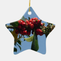 HOLLY - CHRISTMAS DECORATION CHRISTMAS ORNAMENT