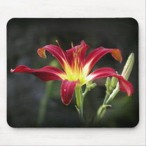 Holly Dancer mousepads by bamagirltee Holly Dancer mousepads