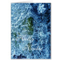 Holly Haiku card