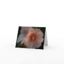 Holly Hock Note Card - Customized by sukimerk Holly Hock Note Card - Customized