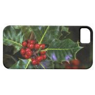 Holly Leaves and Berries iPhone 5 Covers