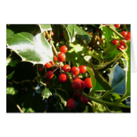 Holly leaves and red berries, Christmas Card