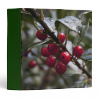holly leaves and red berries, winter binder