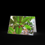Holly Leaves Card