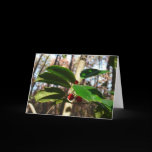 Holly Leaves Card