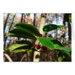 Holly Leaves Card