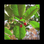 Holly Leaves Magnet
