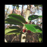 Holly Leaves Magnet