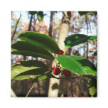 Holly Leaves Magnet